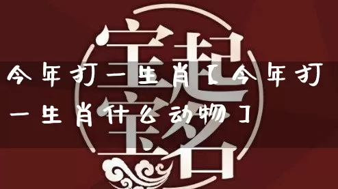今年打一生肖【今年打一生肖什么动物】_https://www.dao-sheng-yuan.com_道源国学_第1张