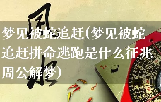 梦见被蛇追赶(梦见被蛇追赶拼命逃跑是什么征兆周公解梦)_https://www.dao-sheng-yuan.com_五行_第1张