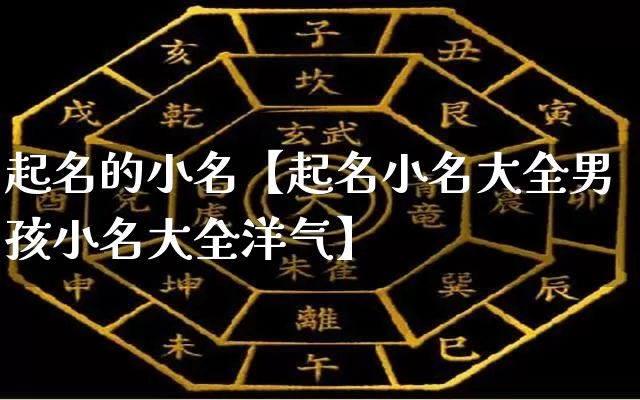 起名的小名【起名小名大全男孩小名大全洋气】_https://www.dao-sheng-yuan.com_周公解梦_第1张