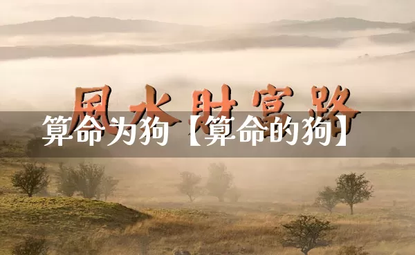 算命为狗【算命的狗】_https://www.dao-sheng-yuan.com_八字_第1张