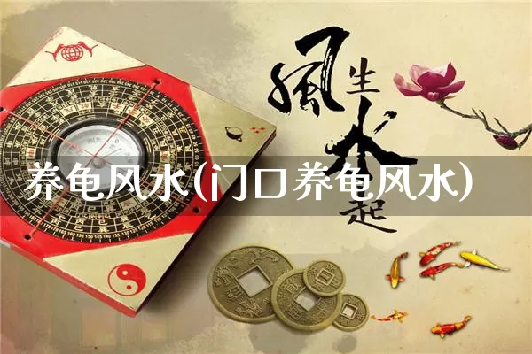养龟风水(门口养龟风水)_https://www.dao-sheng-yuan.com_八字_第1张