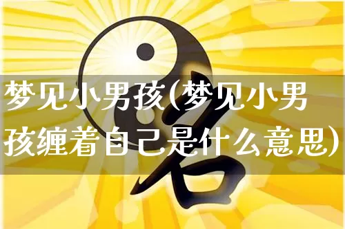 梦见小男孩(梦见小男孩缠着自己是什么意思)_https://www.dao-sheng-yuan.com_八字_第1张