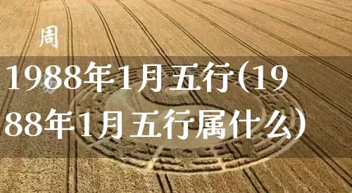 1988年1月五行(1988年1月五行属什么)_https://www.dao-sheng-yuan.com_五行_第1张