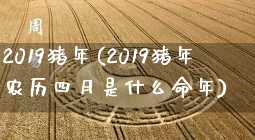 2019猪年(2019猪年农历四月是什么命年)_https://www.dao-sheng-yuan.com_十二星座_第1张