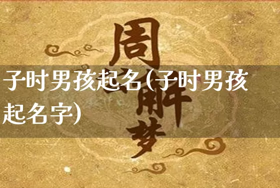 子时男孩起名(子时男孩起名字)_https://www.dao-sheng-yuan.com_起名_第1张