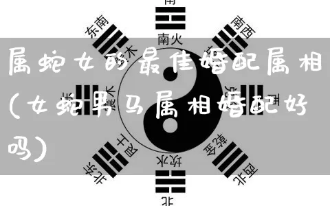 属蛇女的最佳婚配属相(女蛇男马属相婚配好吗)_https://www.dao-sheng-yuan.com_十二星座_第1张