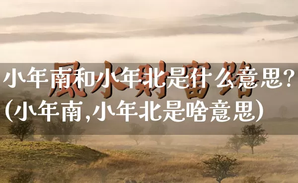 小年南和小年北是什么意思?(小年南,小年北是啥意思)_https://www.dao-sheng-yuan.com_易经_第1张
