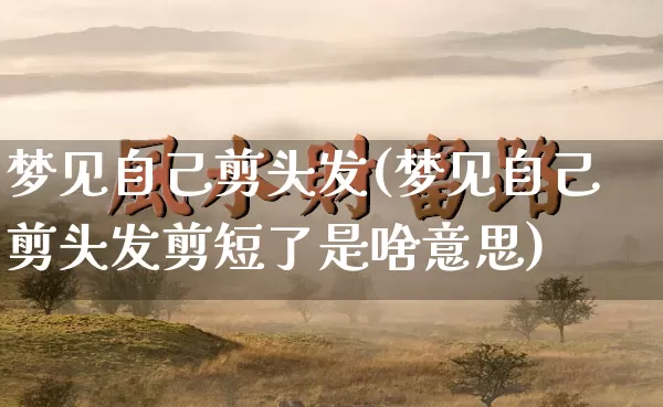 梦见自己剪头发(梦见自己剪头发剪短了是啥意思)_https://www.dao-sheng-yuan.com_算命_第1张