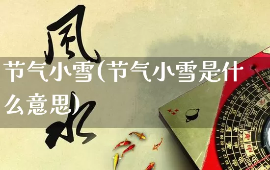 节气小雪(节气小雪是什么意思)_https://www.dao-sheng-yuan.com_道源国学_第1张
