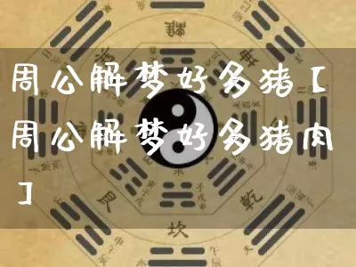 周公解梦好多猪【周公解梦好多猪肉】_https://www.dao-sheng-yuan.com_八字_第1张