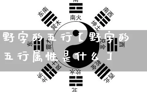 野字的五行【野字的五行属性是什么】_https://www.dao-sheng-yuan.com_周公解梦_第1张