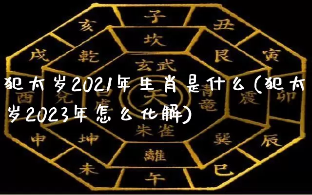 犯太岁2021年生肖是什么(犯太岁2023年怎么化解)_https://www.dao-sheng-yuan.com_八字_第1张