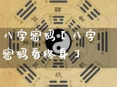 八字密码【八字密码看终身】_https://www.dao-sheng-yuan.com_八字_第1张
