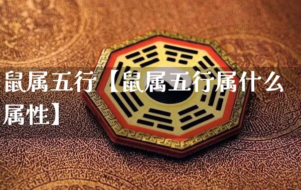 鼠属五行【鼠属五行属什么属性】_https://www.dao-sheng-yuan.com_周公解梦_第1张