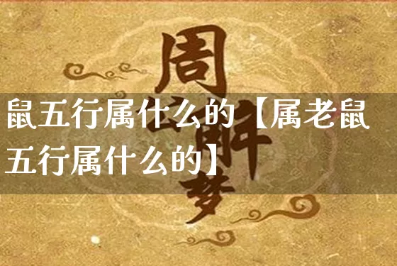 鼠五行属什么的【属老鼠五行属什么的】_https://www.dao-sheng-yuan.com_五行_第1张