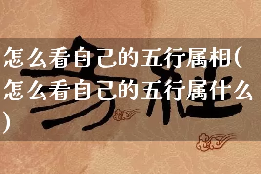 怎么看自己的五行属相(怎么看自己的五行属什么)_https://www.dao-sheng-yuan.com_五行_第1张