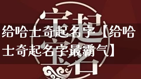 给哈士奇起名字【给哈士奇起名字最霸气】_https://www.dao-sheng-yuan.com_起名_第1张