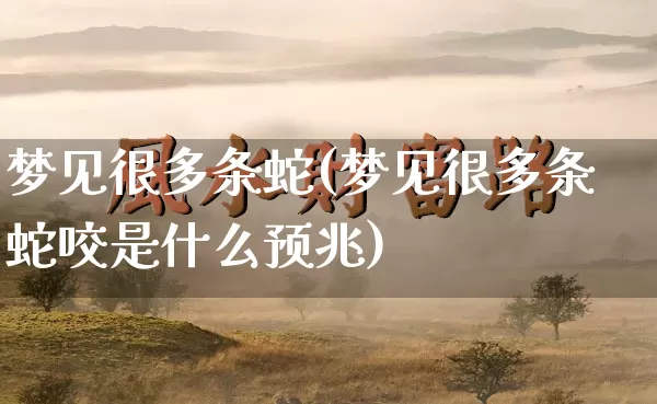 梦见很多条蛇(梦见很多条蛇咬是什么预兆)_https://www.dao-sheng-yuan.com_易经_第1张