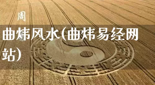 曲炜风水(曲炜易经网站)_https://www.dao-sheng-yuan.com_十二星座_第1张