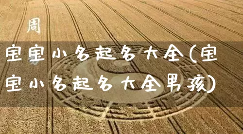 宝宝小名起名大全(宝宝小名起名大全男孩)_https://www.dao-sheng-yuan.com_起名_第1张