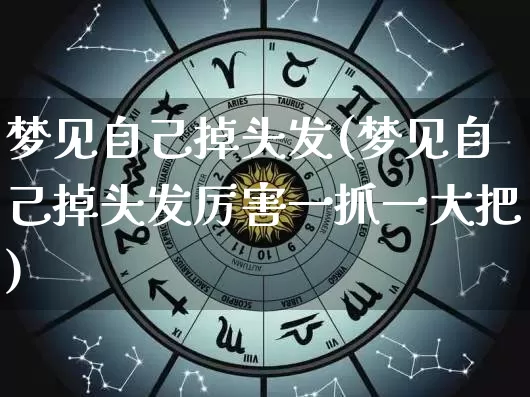 梦见自己掉头发(梦见自己掉头发厉害一抓一大把)_https://www.dao-sheng-yuan.com_周公解梦_第1张