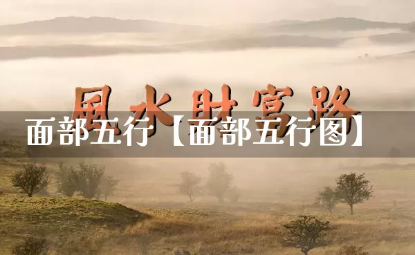 面部五行【面部五行图】_https://www.dao-sheng-yuan.com_十二星座_第1张