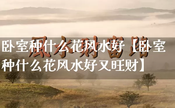 卧室种什么花风水好【卧室种什么花风水好又旺财】_https://www.dao-sheng-yuan.com_起名_第1张