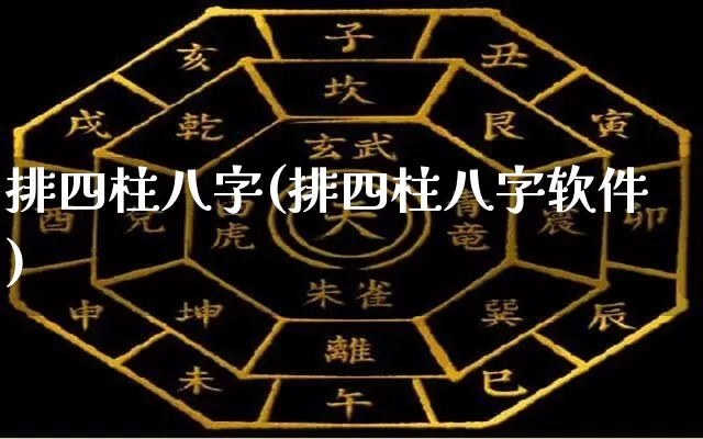 排四柱八字(排四柱八字软件)_https://www.dao-sheng-yuan.com_算命_第1张