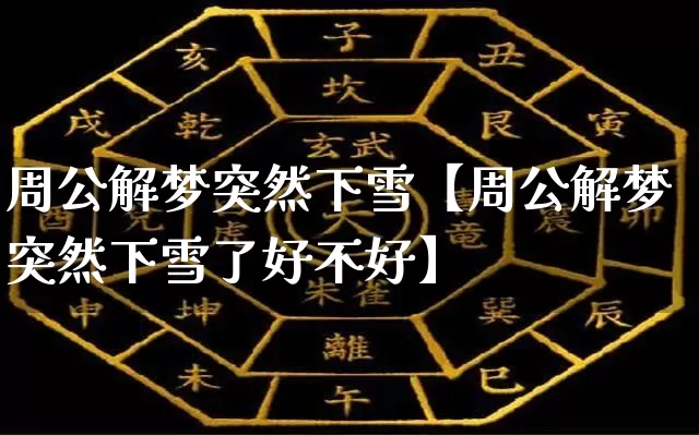 周公解梦突然下雪【周公解梦突然下雪了好不好】_https://www.dao-sheng-yuan.com_生肖属相_第1张