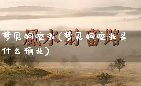 梦见狗咬我(梦见狗咬我是什么预兆)_https://www.dao-sheng-yuan.com_风水_第1张