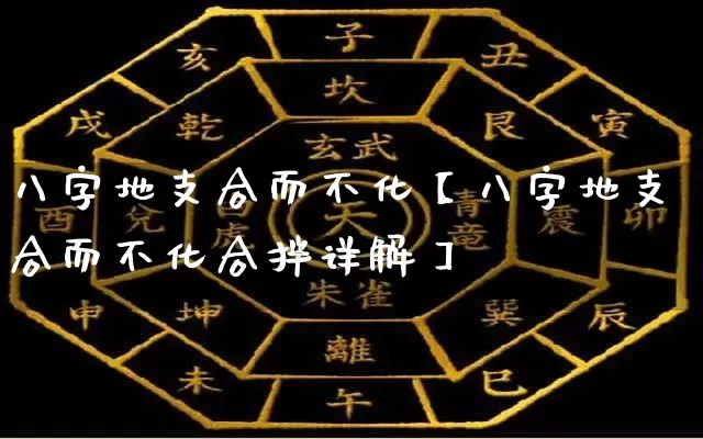 八字地支合而不化【八字地支合而不化合拌详解】_https://www.dao-sheng-yuan.com_风水_第1张