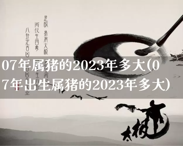 07年属猪的2023年多大(07年出生属猪的2023年多大)_https://www.dao-sheng-yuan.com_五行_第1张