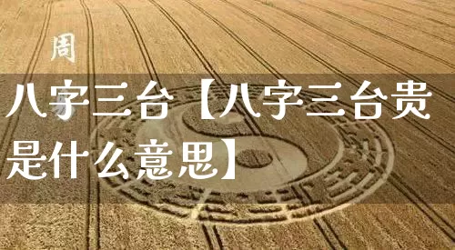 八字三台【八字三台贵是什么意思】_https://www.dao-sheng-yuan.com_五行_第1张