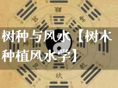 树种与风水【树木种植风水学】_https://www.dao-sheng-yuan.com_风水_第1张