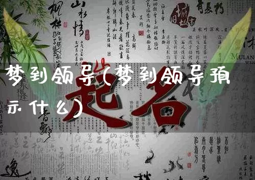 梦到领导(梦到领导预示什么)_https://www.dao-sheng-yuan.com_八字_第1张