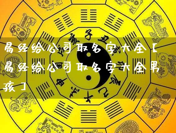 易经给公司取名字大全【易经给公司取名字大全男孩】_https://www.dao-sheng-yuan.com_五行_第1张