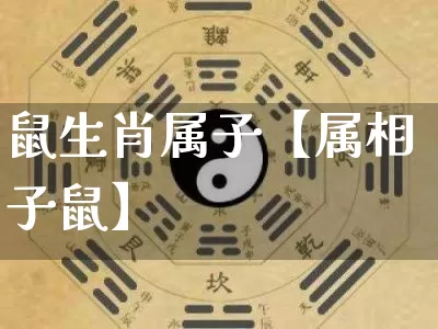 鼠生肖属子【属相子鼠】_https://www.dao-sheng-yuan.com_易经_第1张