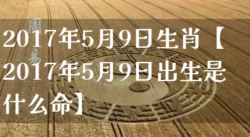 2017年5月9日生肖【2017年5月9日出生是什么命】_https://www.dao-sheng-yuan.com_生肖属相_第1张