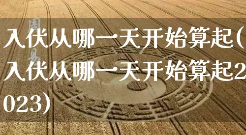 入伏从哪一天开始算起(入伏从哪一天开始算起2023)_https://www.dao-sheng-yuan.com_起名_第1张