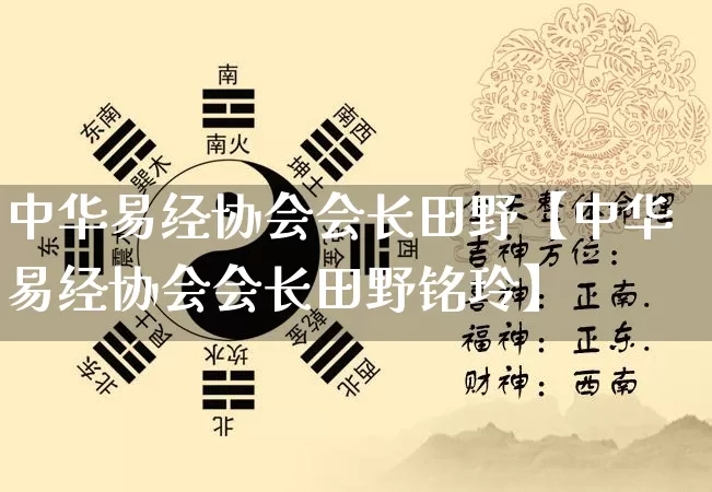 中华易经协会会长田野【中华易经协会会长田野铭玲】_https://www.dao-sheng-yuan.com_五行_第1张