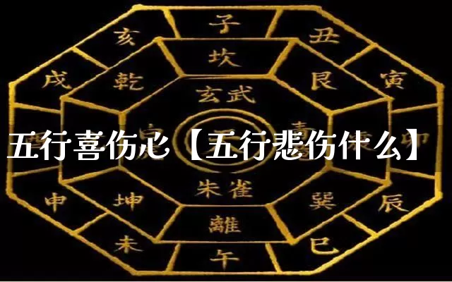 五行喜伤心【五行悲伤什么】_https://www.dao-sheng-yuan.com_十二星座_第1张