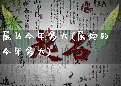 属马今年多大(属蛇的今年多大)_https://www.dao-sheng-yuan.com_生肖属相_第1张