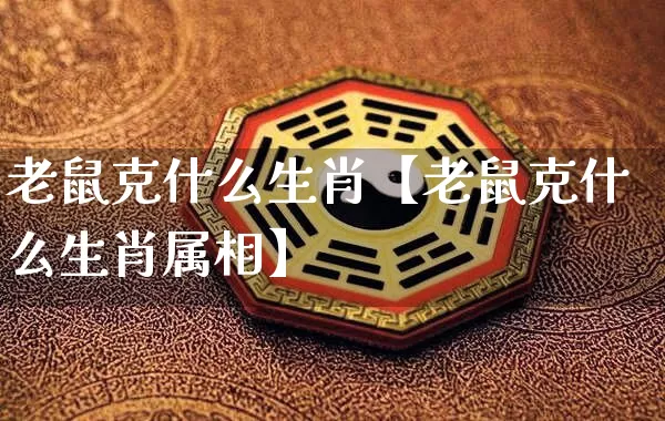 老鼠克什么生肖【老鼠克什么生肖属相】_生肖属相_第1张_道圣缘 老鼠克什么生肖【老鼠克什么生肖属相】_https://www.dao-sheng-yuan.com_生肖属相_第1张