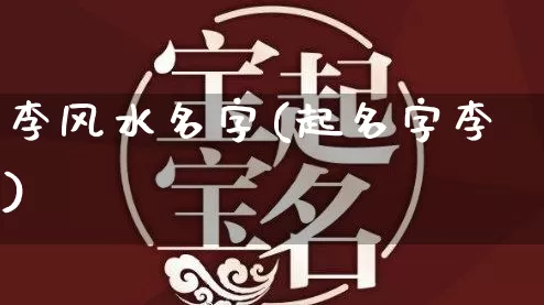 李风水名字(起名字李)_https://www.dao-sheng-yuan.com_风水_第1张