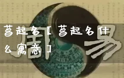 菖起名【菖起名什么寓意】_https://www.dao-sheng-yuan.com_十二星座_第1张