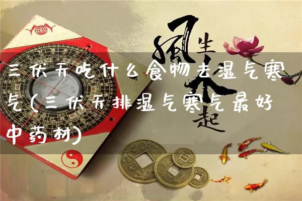 三伏天吃什么食物去湿气寒气(三伏天排湿气寒气最好中药材)_https://www.dao-sheng-yuan.com_八字_第1张