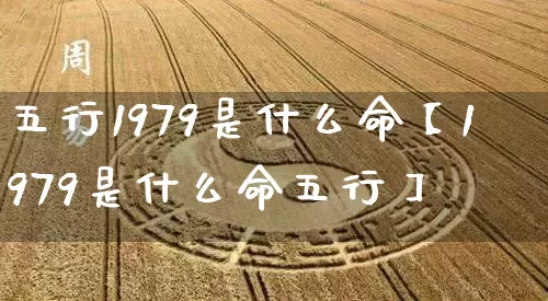 五行1979是什么命【1979是什么命五行】_https://www.dao-sheng-yuan.com_易经_第1张