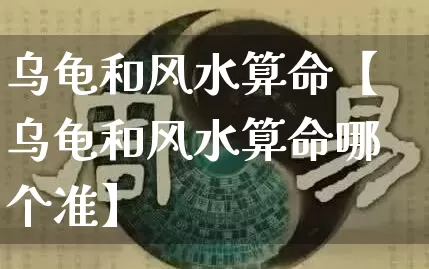 乌龟和风水算命【乌龟和风水算命哪个准】_https://www.dao-sheng-yuan.com_易经_第1张