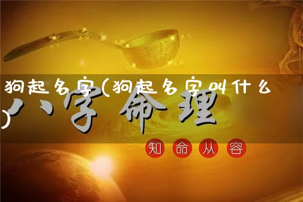 狗起名字(狗起名字叫什么)_https://www.dao-sheng-yuan.com_风水_第1张