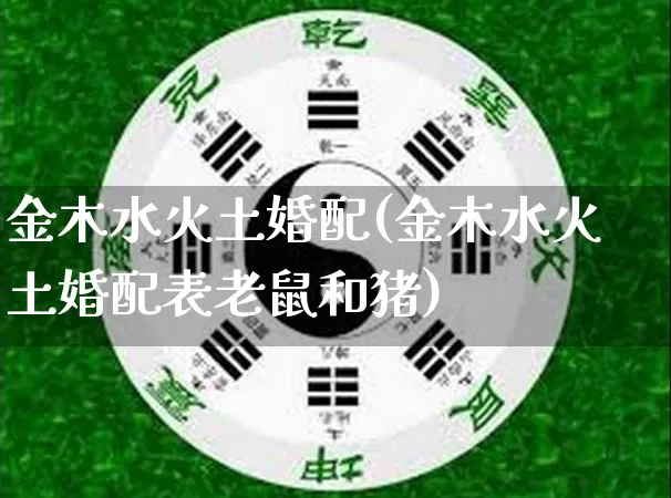 金木水火土婚配(金木水火土婚配表老鼠和猪)_https://www.dao-sheng-yuan.com_道源国学_第1张